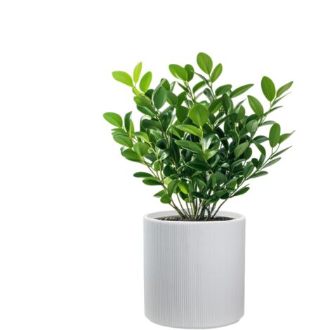 Vase cylindrique rond en résine pour plantes d'intérieur et d'extérieur, 36x35 cm, modèle Modigliani blanc