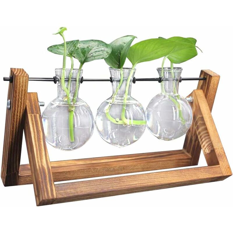 Osqi - Vase de bureau en verre transparent avec support en bois massif rétro, terrarium décoratif pour plantes hydroponiques, décoration de mariage,