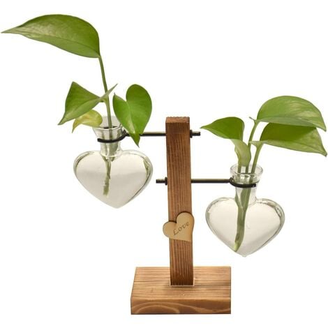 Vase en Verre Transparent Forme de Coeur pour Plante Fleur Hydroponique Décoration de Table