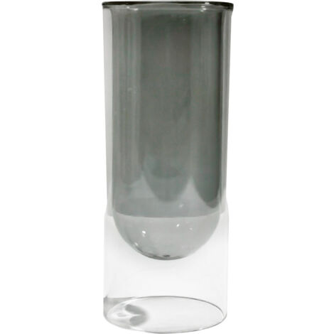 Vase de plantes hydroponiques Premium - Design moderne en verre clair pour aromathérapie et décor (Grey, 6.5x16cm)