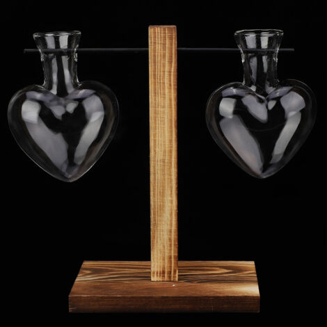 Vase en Verre avec Support en Bois en Forme de Cœur pour Plantes Hydroponiques - Décoration de Bureau