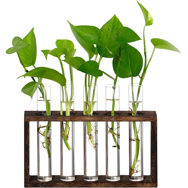 Coocheer - Vase en verre avec tube à essai, cadre en bois créatif, ornements, conteneur de plantes hydroponiques, décoration de bureau et de maison