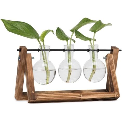 Vase en verre bulbe avec support en bois vintage et tige rotative en métal