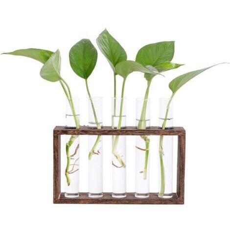 Vase en Verre de Tube à Essai avec Support en Bois pour Plantes Hydroponiques Tube Vase Vintage