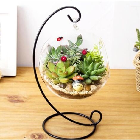 Vase en verre suspendu - Marque inconnue - Boule terrarium cadre plantes aériennes - Verre borosilicate - Noir