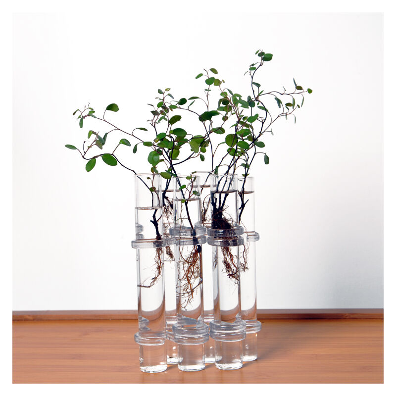 Vase à fleurs en verre transparent, 6 Tubes en forme de réservoir de poisson, décoration de la maison