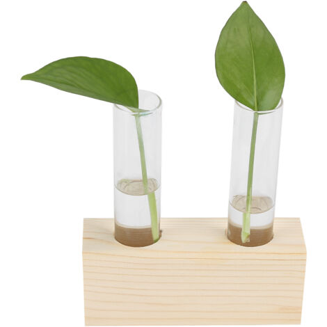 Vase Hydroponic Mini en Tube Double avec Support Bois Naturel Pine Glass pour Bureau et Maison - 2 Tubes et Base Incluses
