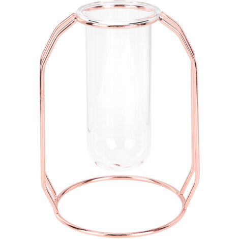 Vase Hydroponique Transparent pour Plantes, Déco de Table Dorée Rose Maison