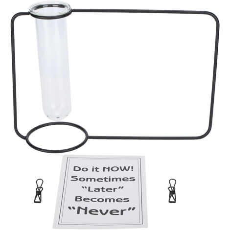Vase hydroponique transparent suspendu pour plantes d'intérieur - Design innovant en forme d'éprouvette