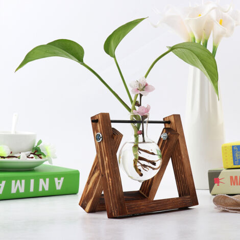 Vase Hydroponique Vintage Transparent avec Support Bois pour Plantes Deco Table Maison