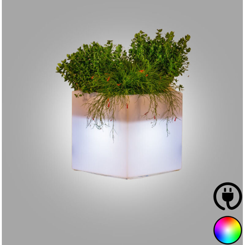 Vase Lumineux en Polymère Monacis Cube Pot Bright cm.40X40X40 LED Multicolore avec Câble Vase Lumineux en Polymère Monacis Cube Pot Bright cm.40X40X40 LED Multicolore avec Câble