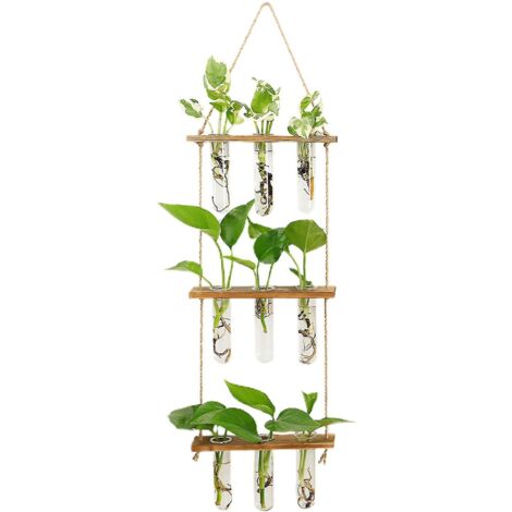Vase mural en verre pour culture hydroponique - Pot de fleurs - Marron