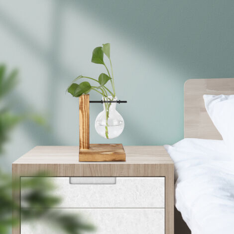 Vase Planter - Vase hydroponique en verre transparent avec support bois pour bureau - Type A