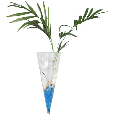 Vase suspendu en verre borosilicaté hydroponique décoration intérieur plante atmosphère transparent 5×10cm