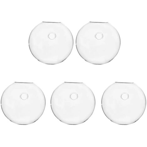 Vase terrarium hydroponique fleurs lot de 5 Zyf