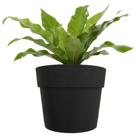 Vasetto Magnetic Cm 22.5X36 Nero Tecnokit