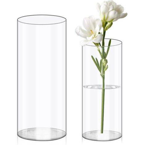 Vasi per fiori in acrilico trasparente, 20x10 e 25x12 cm. Vasi cilindrici in plastica infrangibile, ideali per composizioni floreali, centrotavola per matrimoni e progetti fai da te.