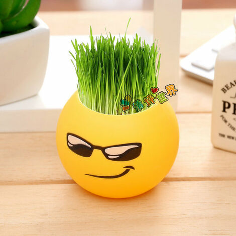 Vasi per piante piccola erba in vaso fai da te testa di erba lunga bambola pianta ufficio Decor bambini balcone interno fioriere vaso di fiori,B-cool