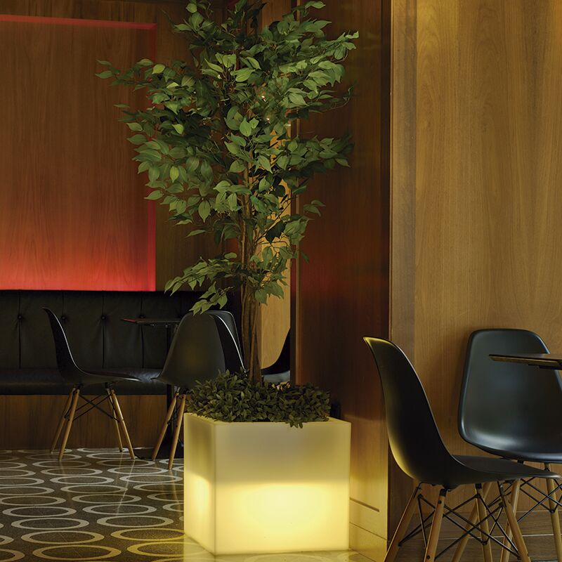 Vasi quadrati con luce NARCISO 50 Moovere SOLARE +...