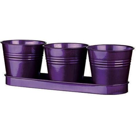 VASI TRIO TIN VIOLA          -5330103KF