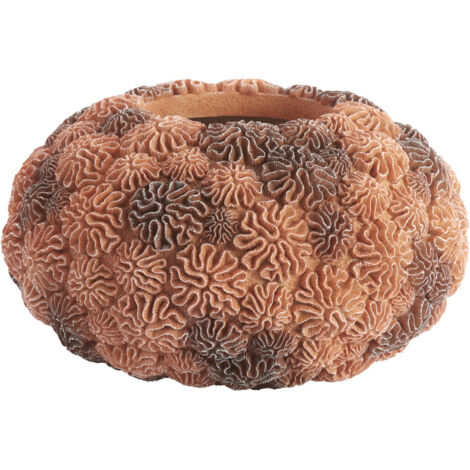 Vasija Light & Living CORAL Durazno-Marrón Claro – Ø37x21 cm