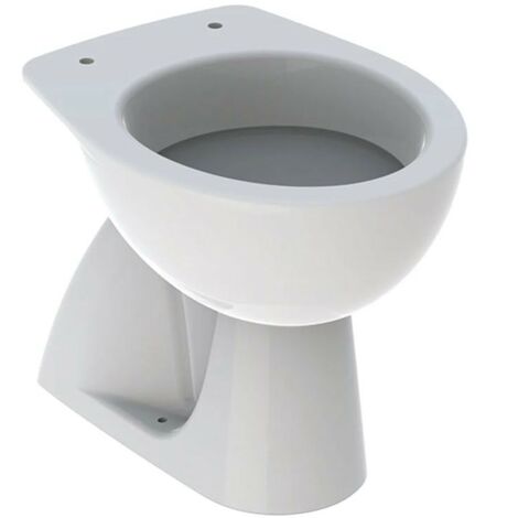 Vaso a Pavimento a Cacciata Con Scarico Verticale Geberit COLIBRI Bianco Lucido 500.856.00.1