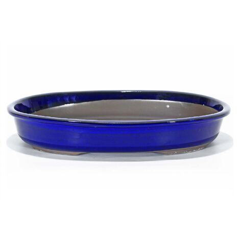 Vaso bonsai ovale smaltato blu 45 cm.