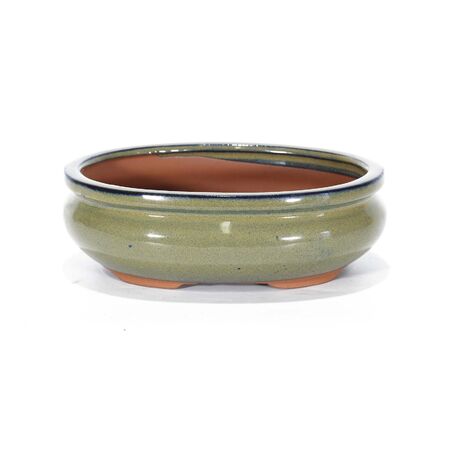Vaso bonsai smaltato ovale cm. 20 Beige