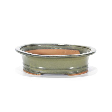 Vaso bonsai smaltato ovale cm. 26 Beige