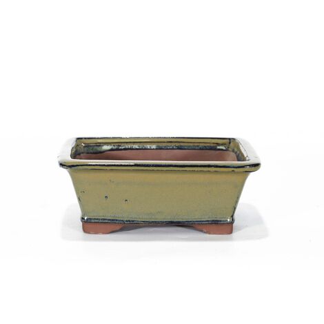 Vaso bonsai smaltato rettangolare cm. 25 Beige