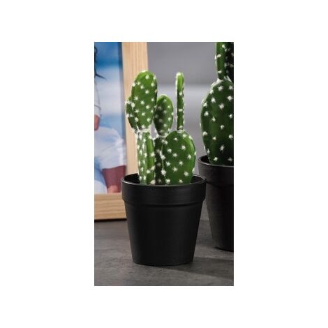 VASO C/CACTUS X DECORAZ DIAM9,5XH20