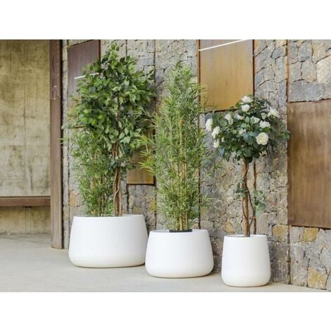 VASO ALTO FICUS 60 CON LUCE – Newgarden Shop IT