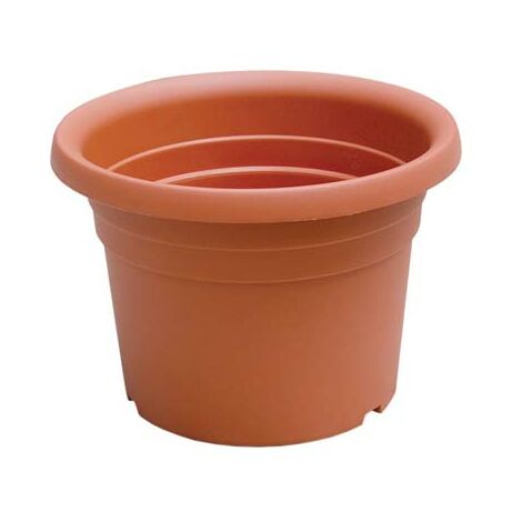Vaso cilindro dahlia