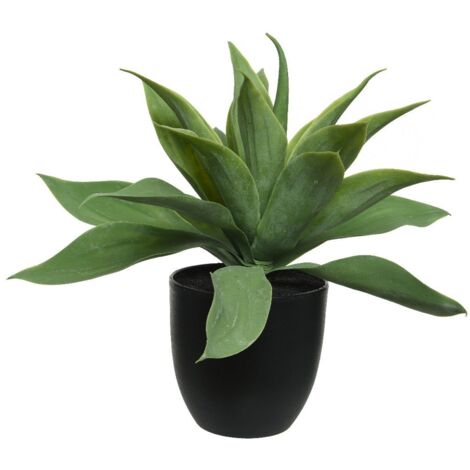 EVERLANDS VASO CON AGAVE H34CM