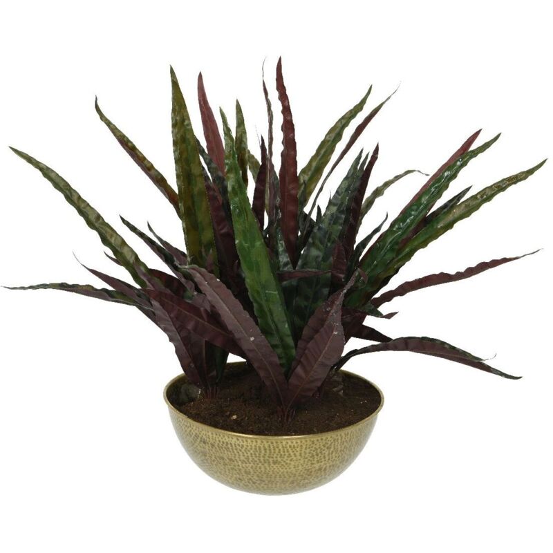 Vaso con calatea 84XH46CM