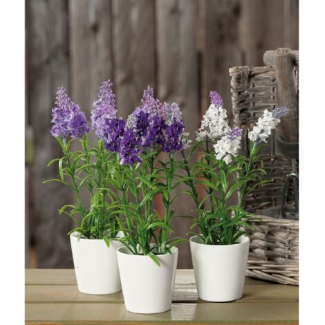 VASO CON LAVANDA D.8XH26CM IN 3 COLORI
