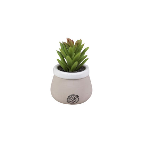 VASO CON PIANTA GRASSA D.5XH10CM IN CERAMICA TORTO