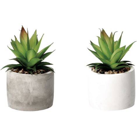 VASO CON PIANTA GRASSA DECORATIVA D.10XH18CM IN 2