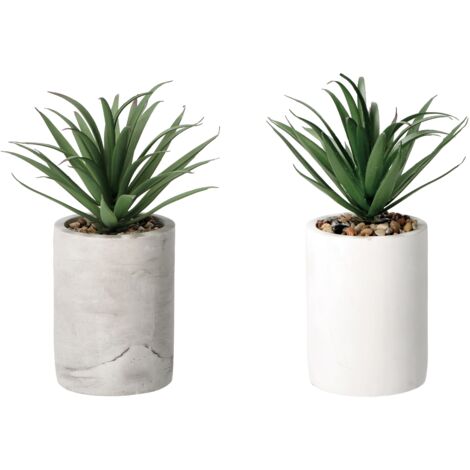 VASO CON PIANTA GRASSA DECORATIVA D.9XH22CM IN 2 C
