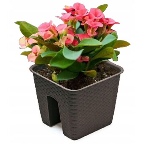 VASO DA BALCONE PER RATOLLA BOX DA BALCONE 272mm UMBRA