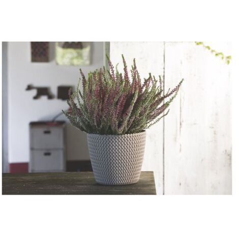 Vaso da fiori color moka Splofy DSP130 Prosperplast