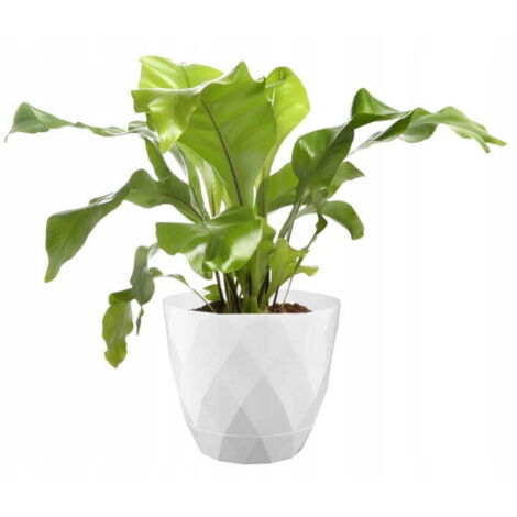 Vaso da fiori con sottovaso, bianco, decorativo, plastica, 27,5 cm