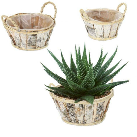 Vaso da fiori rotondo in betulla, set da 3