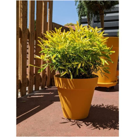Vaso da fiori rotondo RIVIERA SOLEILLA - Plastica - Diametro 60 cm - Giallo