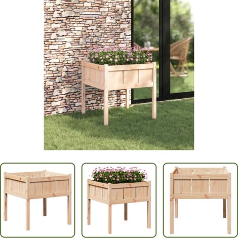 Vaso da giardino naturale -  Vaso da giardino Natura 70 x 70 x 70 cm Pino massello