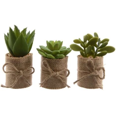 EVERLANDS VASO DI JUTA CON PIANTA GRASSA H12CM DECORATIVA