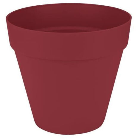 Vaso Elho
