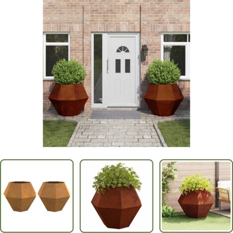 Vaso esterno -  Fioriera 2 pcs Ruggine 100 x 100 x 80 cm