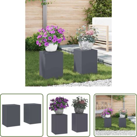Vaso in acciaio -  Supporto per piante 2 pcs Antracite 24 x 24 x 35 cm Acciaio