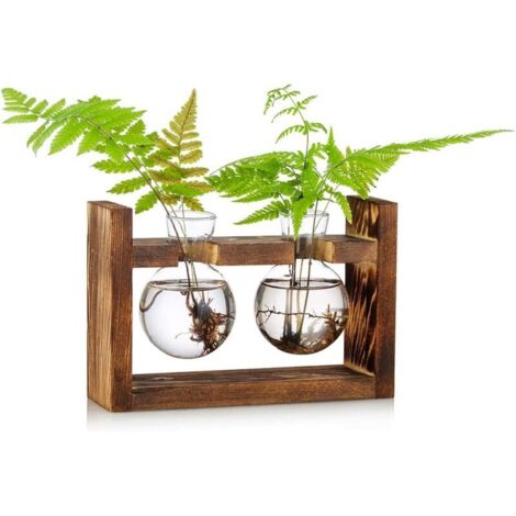 Vaso in vetro a forma di ghianda per fiori, terrario, vaso per piante con supporto in legno